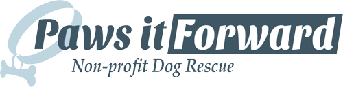 Lucky Paws Summer Raffle